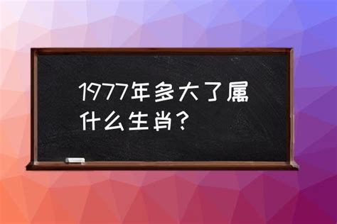 77年生肖|1977年属什么生肖